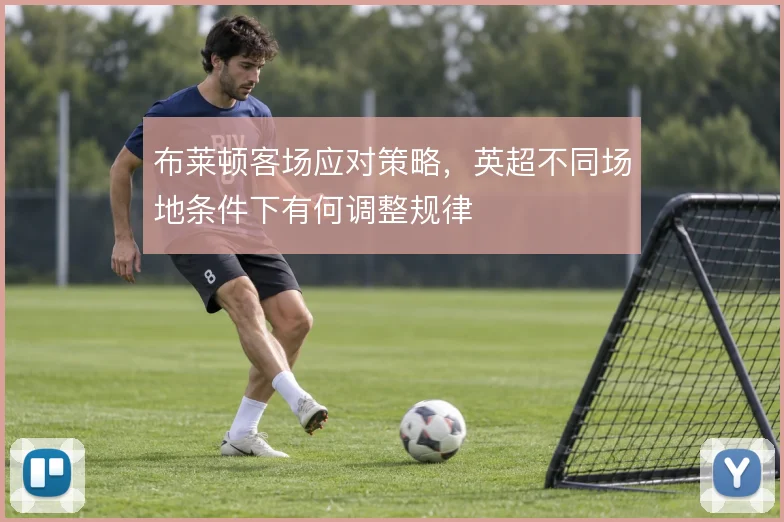 布莱顿客场应对策略，英超不同场地条件下有何调整规律